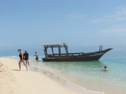 Go with our dhow to the beach, through the mangrove forest, to the sand banks, go snorkling and experience the lagoon. 