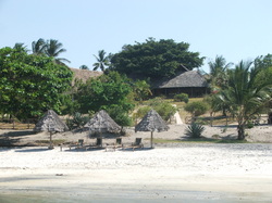 The beach seen from the sea side - at Bomani Beach Bungalows - between Dar es Salaam and Bagamoyo