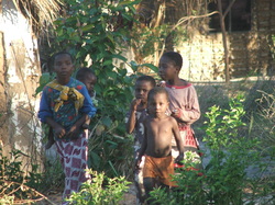 Enjoy a village walk; meet and greet people, see, smell, hear and experience the Tanzanian ways in Mlingotini. 