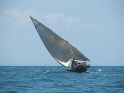 Go sailing with a local ngalawa, experience the sea, wind, waves, beach and the lagoon.
