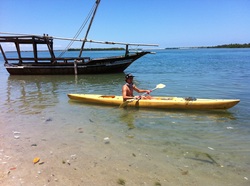 Rent our kayak and experience the lagoon and mangrove forest on close hold.